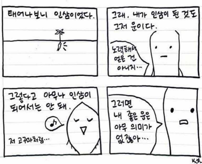 고구마4