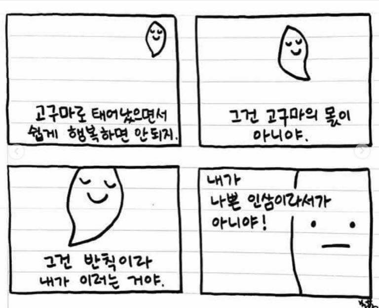 고구마6